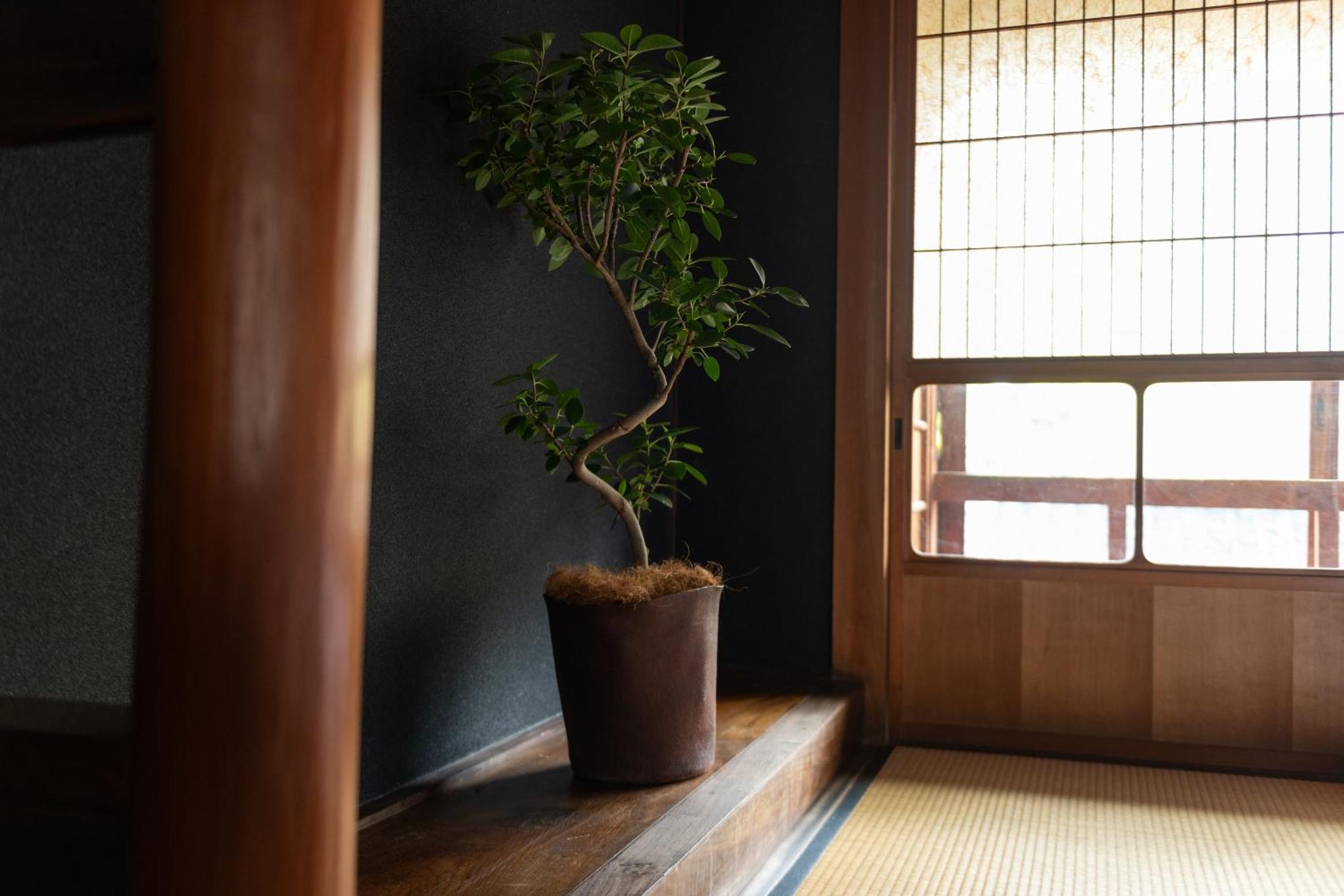 篠山城下町ゲストハウス Quolo Tamba-Sasayama Luaran gambar